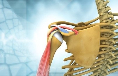 Shoulder Tear